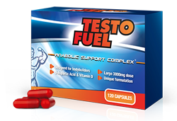 testofuel review