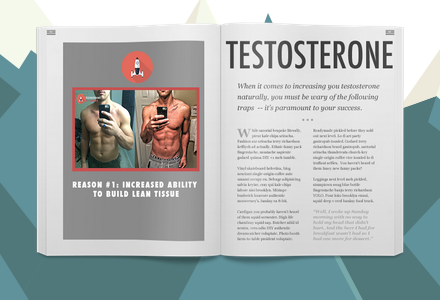 testosterone io pdf free